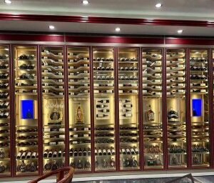 Cave a vin professionel inox porte plein