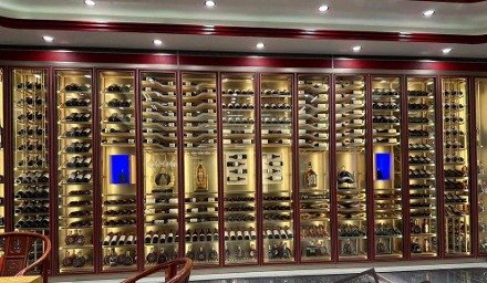 Cave à vin professionnelle inox – porte pleine